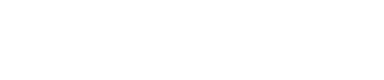 더필드플레이어